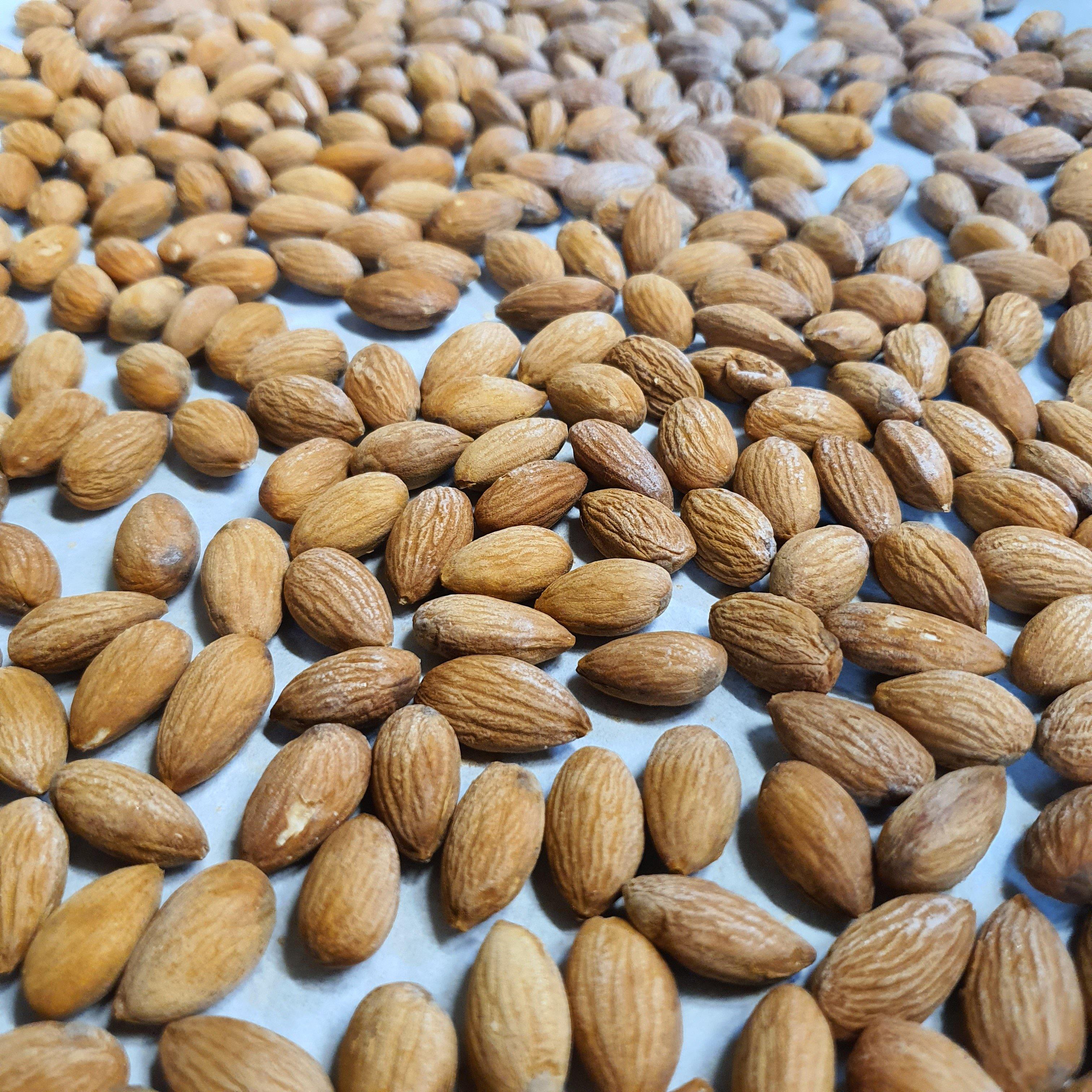 Roasted Almonds Salt & Vinegar - 100gm - PaleoPure